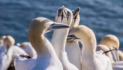 丽水最新公积金卡提取方法分析(最方便真实的丽水公积金卡提取后还可以继续使用吗方法)