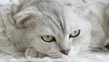 丽水最新公积金卡提取现金方法app方法分析(最方便真实的丽水公积金卡怎样从手机里取出来?方法)