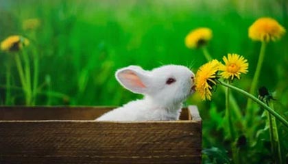 丽水最新公积金卡提取现金方法app方法分析(最方便真实的丽水公积金卡怎样从手机里取出来?方法)